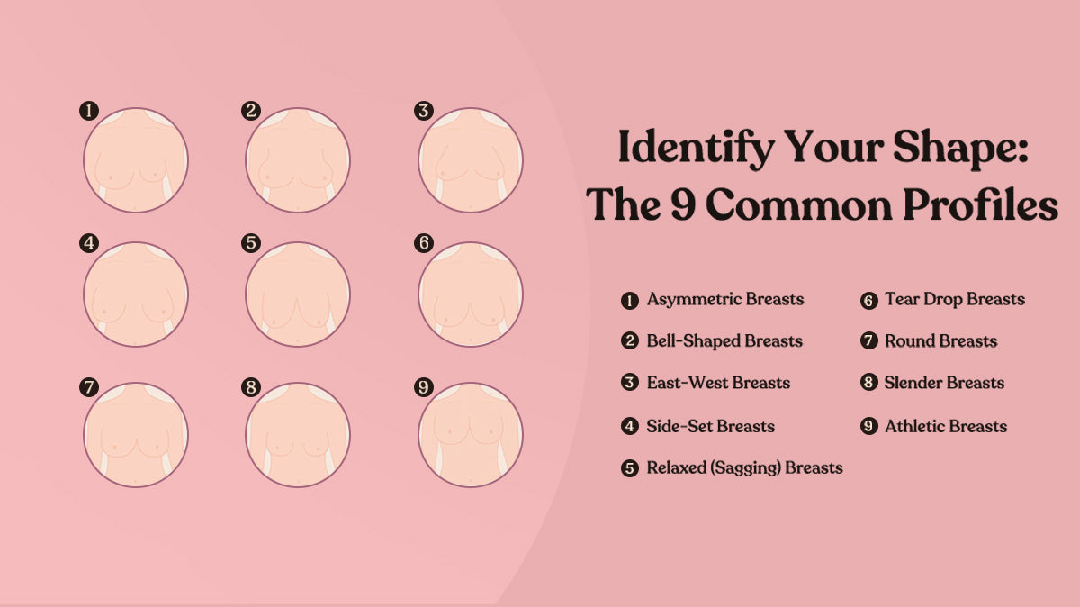 Breast Shape Dictionary