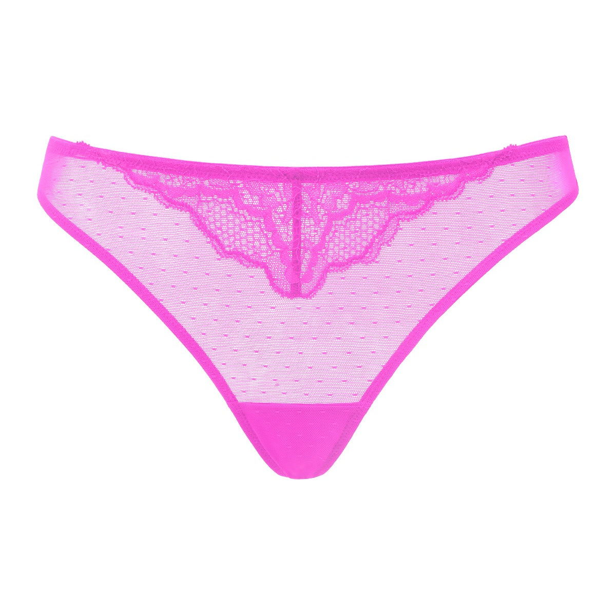 Enchante Floral Lace Sheer Mesh Back Thong Undewear - HSIA