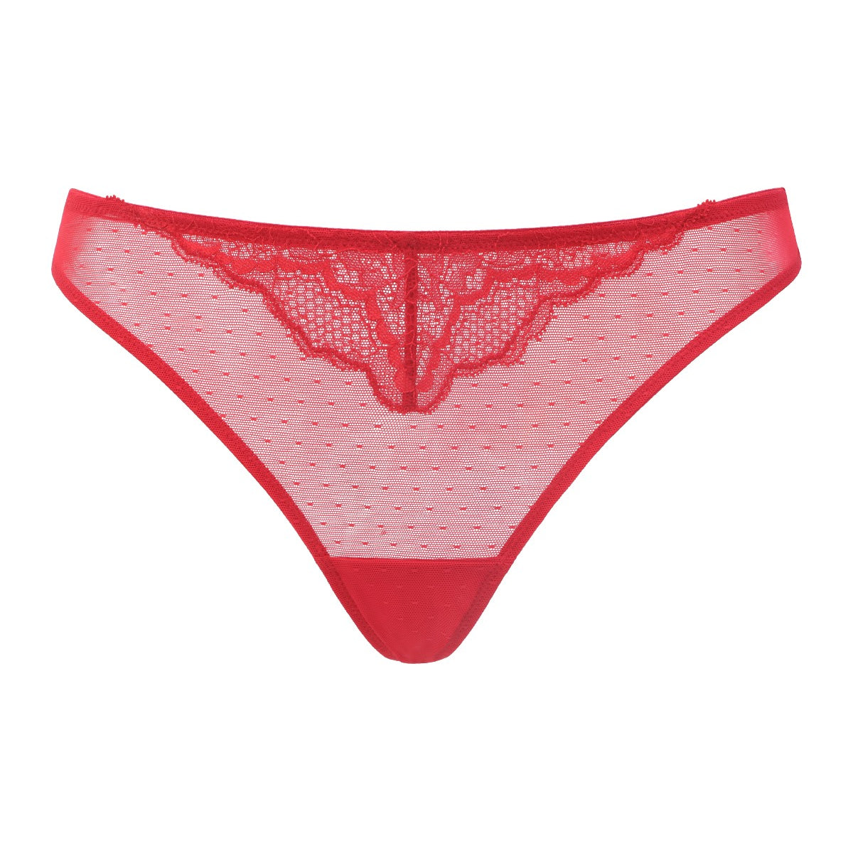 Enchante Floral Lace Sheer Mesh Back Thong Undewear - HSIA
