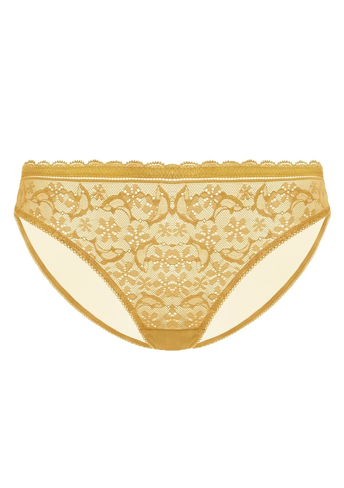 Anemone Lace Dolphin Mid-low Rise Ginger Bikini Underwear - HSIA