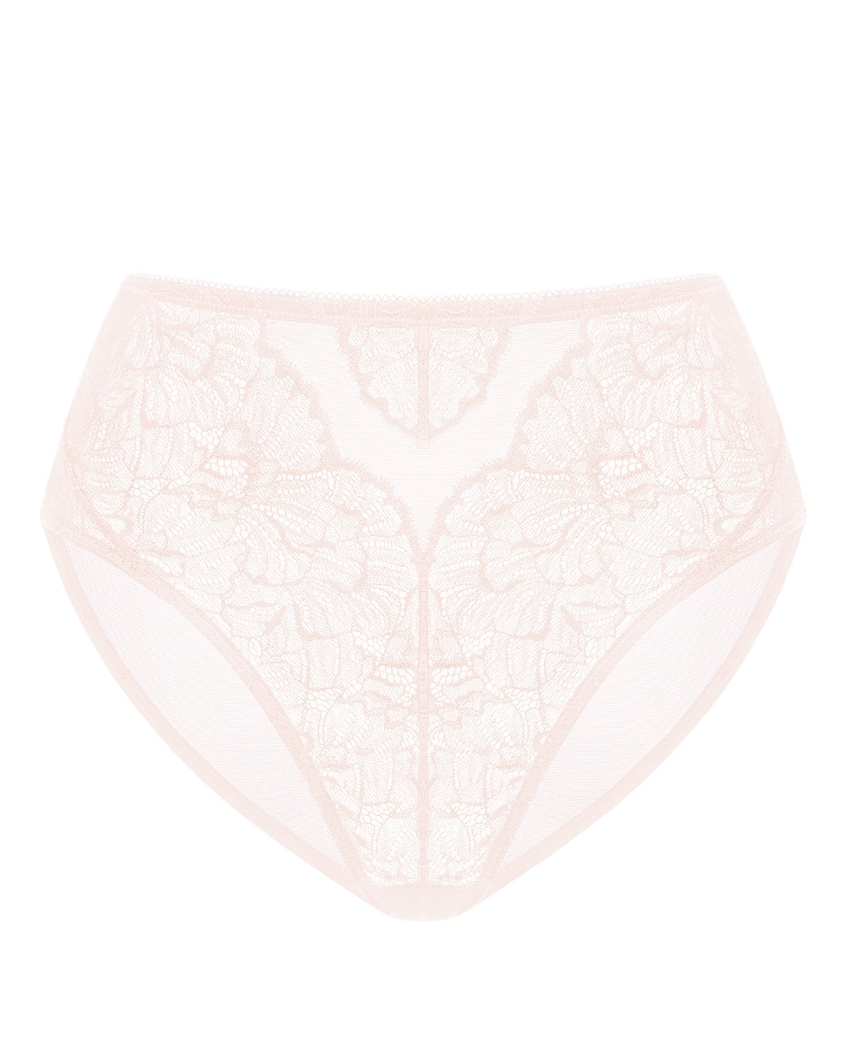 Blossom High-Rise Lace Brief Underwear - HSIA