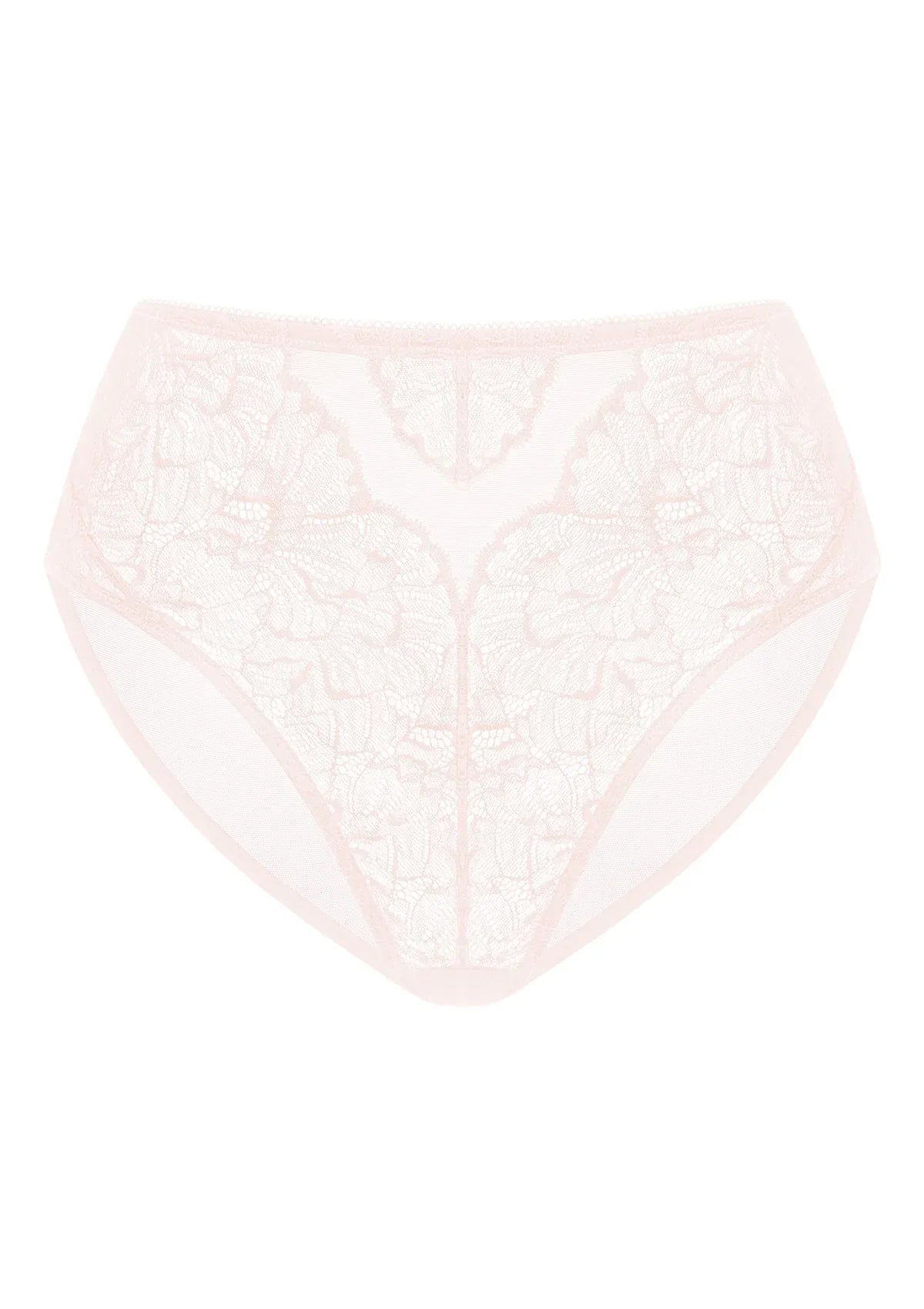 Blossom High-Rise Lace Brief Underwear - HSIA