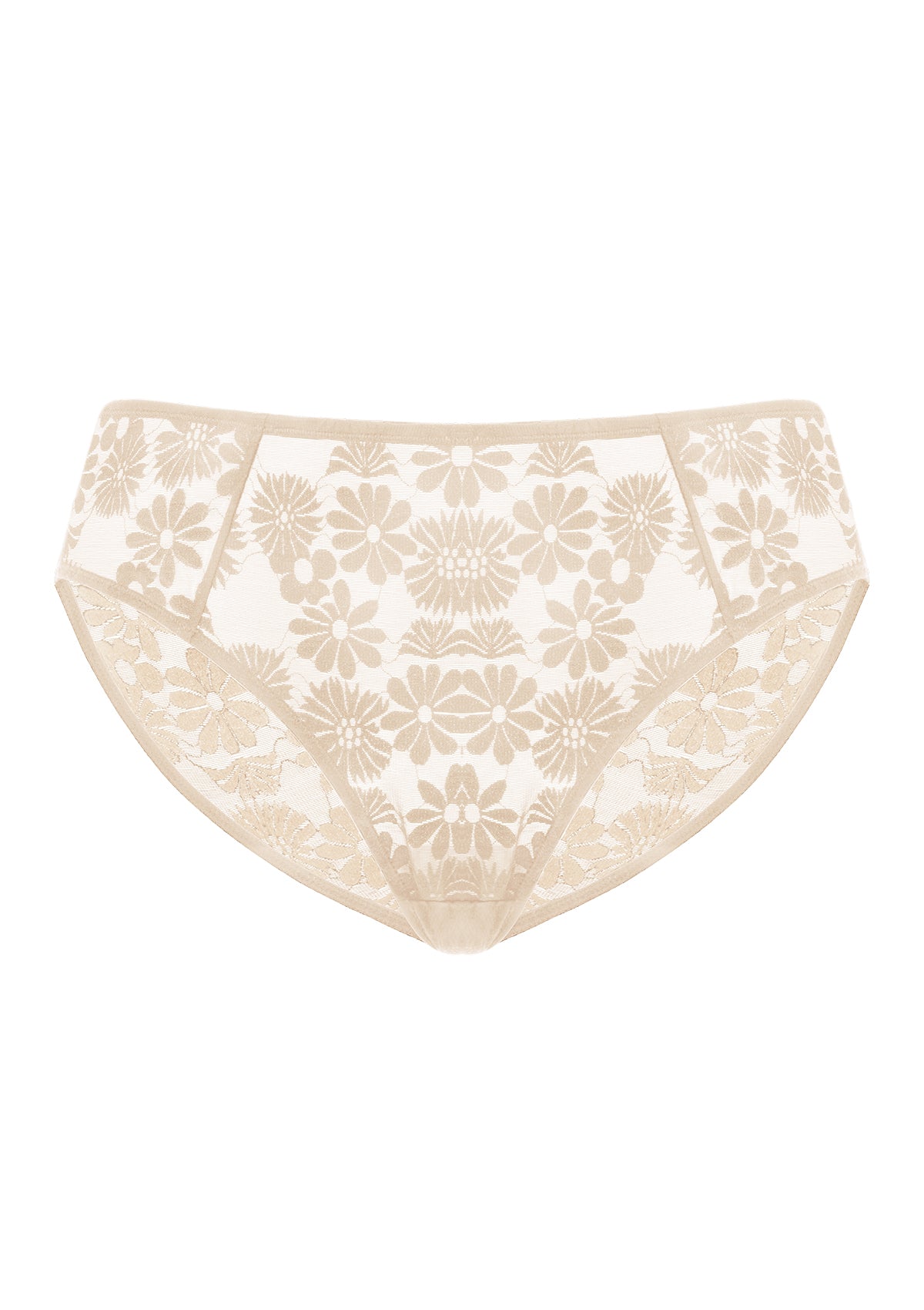 Daisy High-Rise Soft Comfort Natural Nude Lace Brief Underwear - HSIA