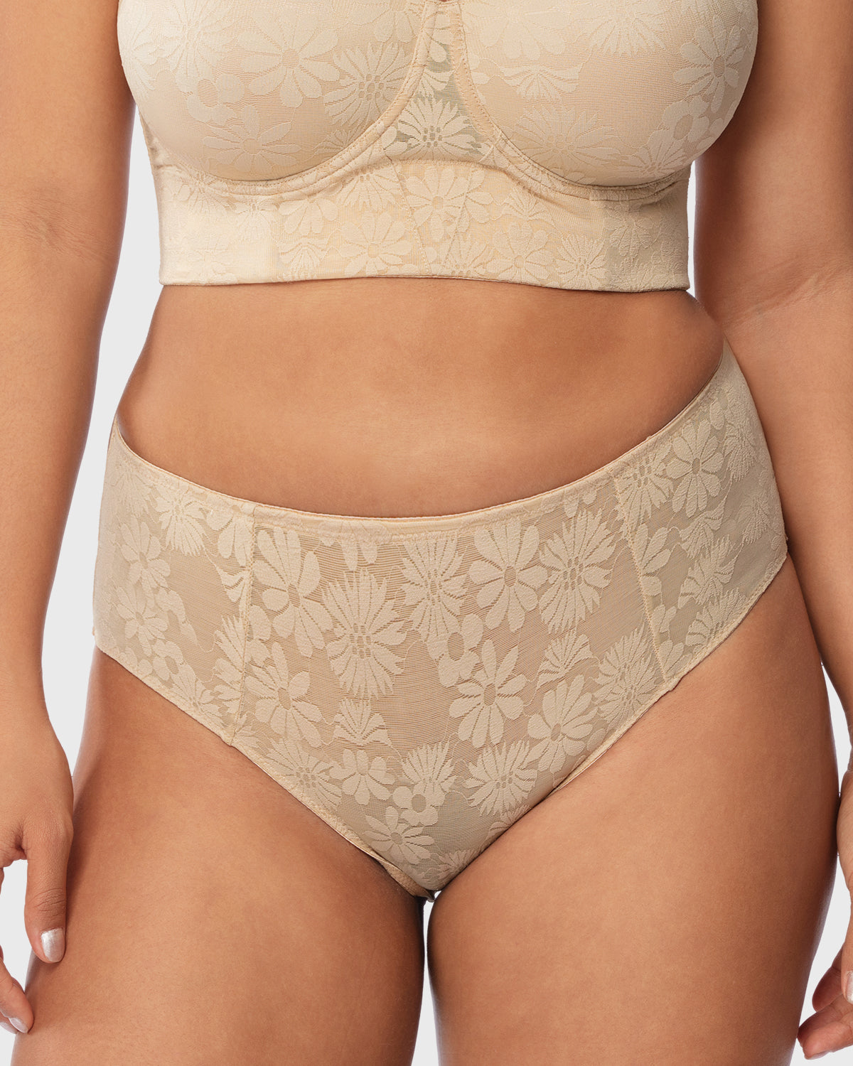 Daisy High-Rise Soft Comfort Natural Nude Lace Brief Underwear - HSIA