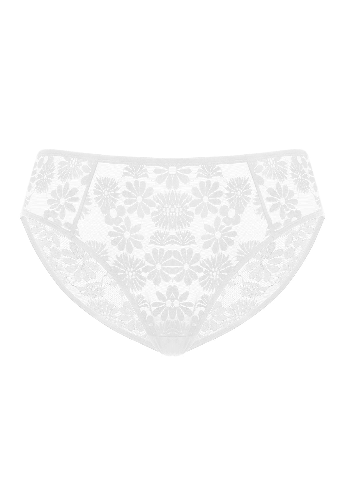Daisy High-Rise Soft Comfort Lace Brief Underwear - HSIA