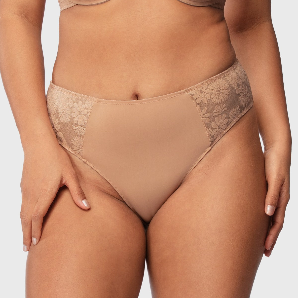 Daisy Smooth Lace High-Rise Rosy Blush Mesh Lace Back Brief Underwear - HSIA