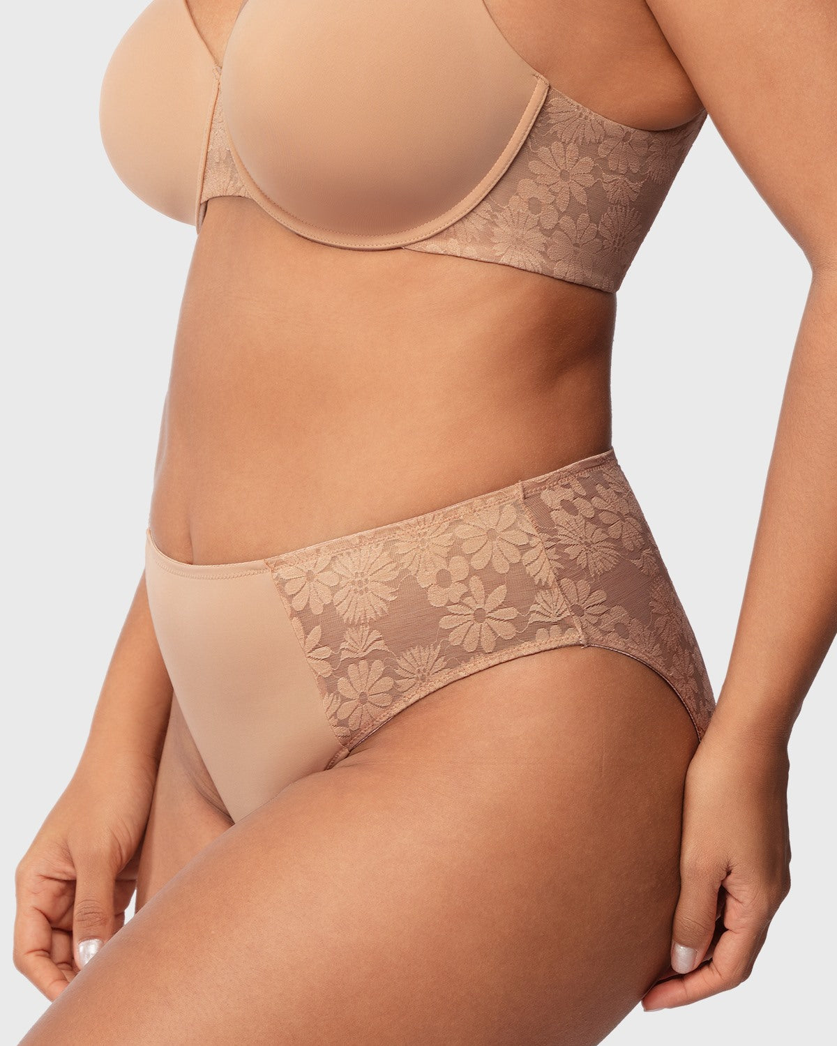 Daisy Smooth Lace High-Rise Rosy Blush Mesh Lace Back Brief Underwear - HSIA