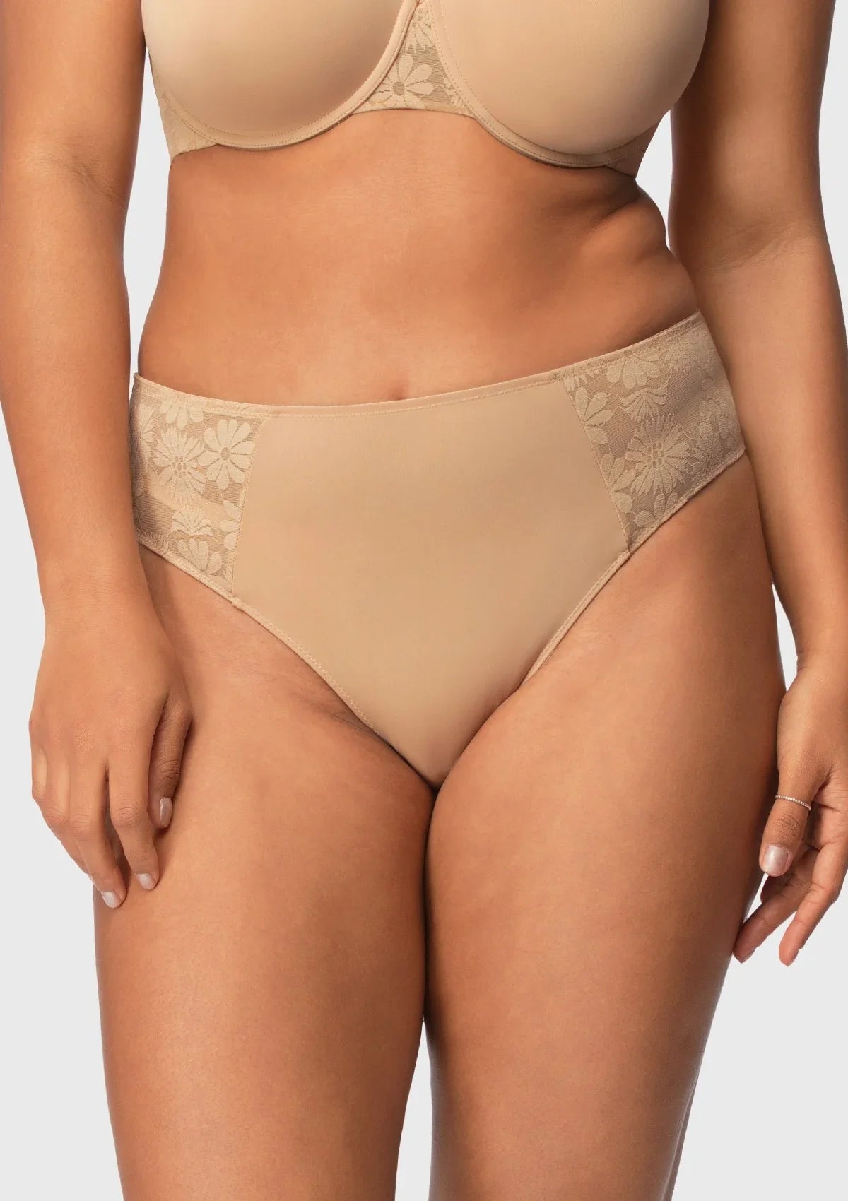 Daisy Smooth Lace High-Rise Rosy Blush Mesh Lace Back Brief Underwear - HSIA