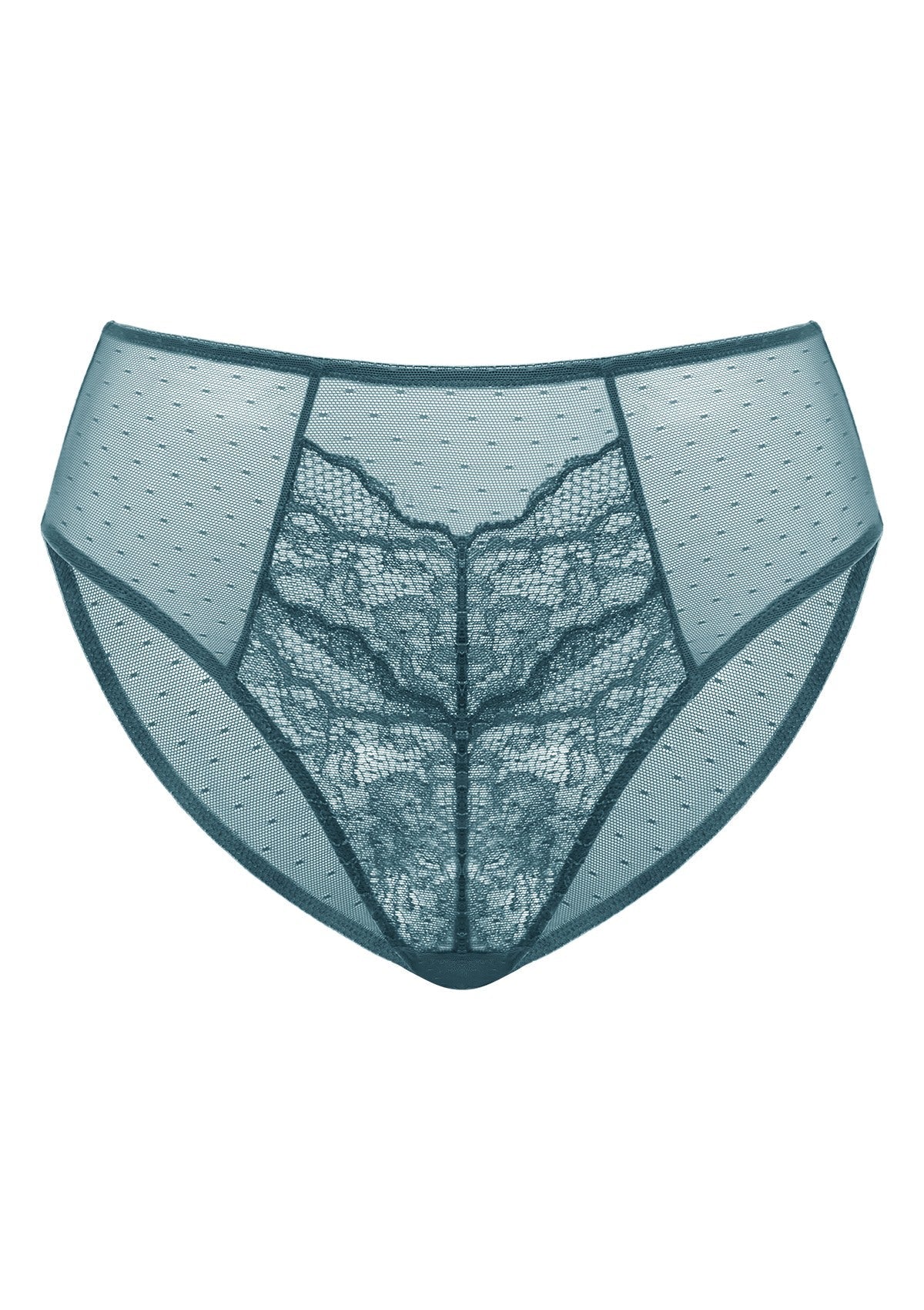 Enchante High-Rise Lace Brief Underwear - HSIA