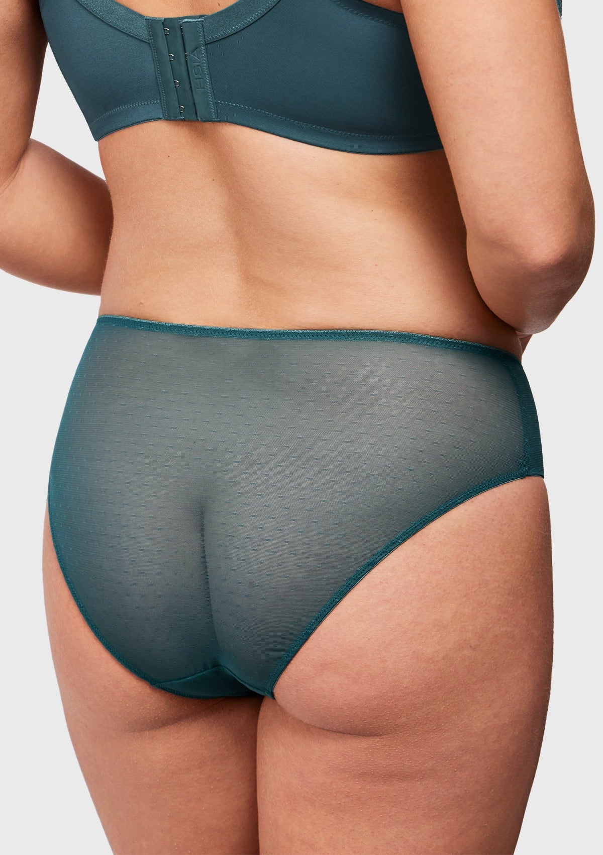 Enchante High-Rise Balsam Blue Lace Brief Underwear - HSIA