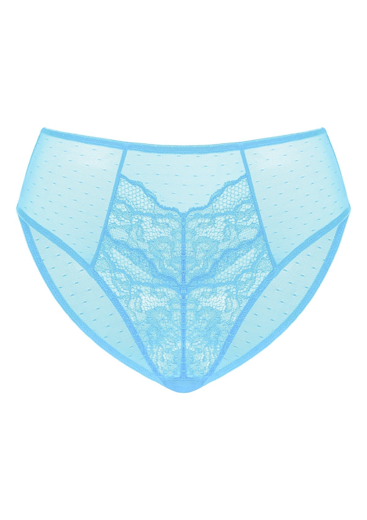 Enchante High-Rise Lace Brief Underwear - HSIA