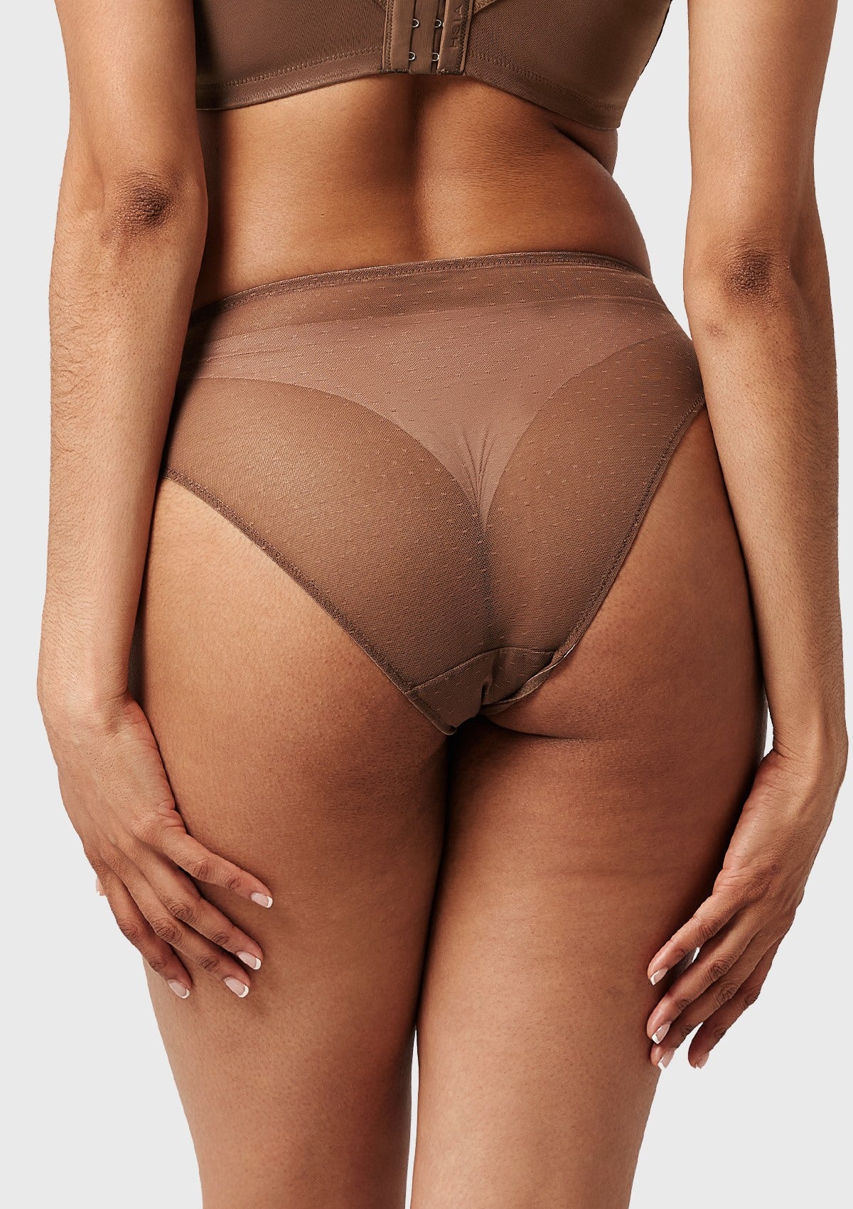 Enchante High-Rise Cocoa Brown Lace Brief Underwear - HSIA