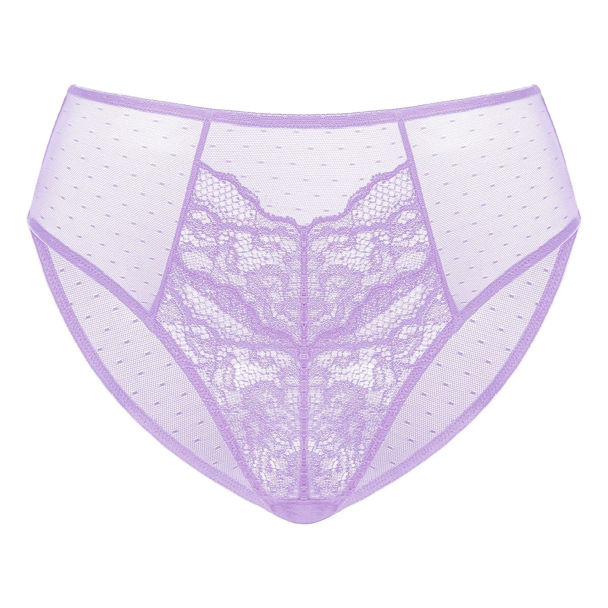 Enchante High-Rise Lace Brief Underwear - HSIA