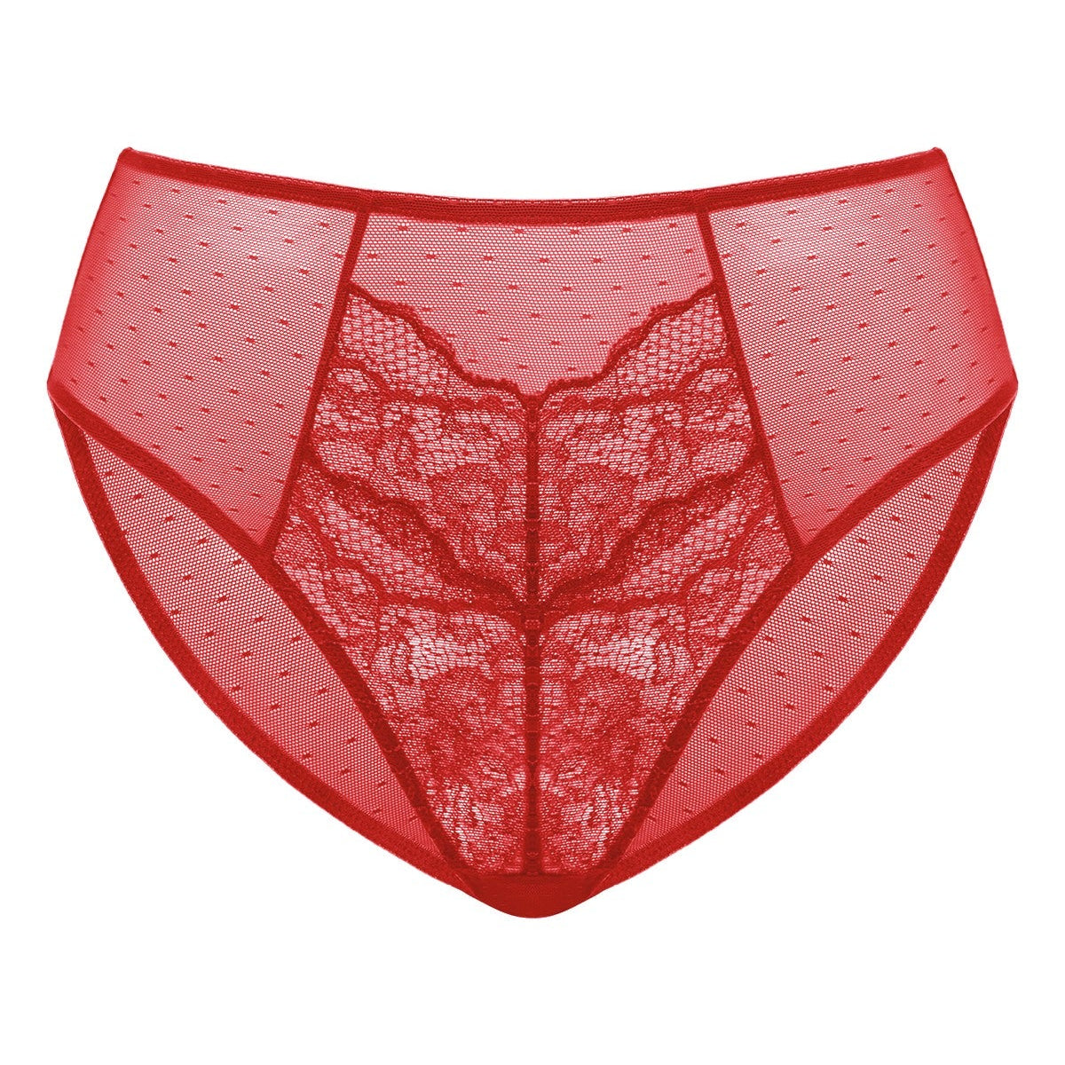 Enchante High-Rise Lace Brief Underwear - HSIA