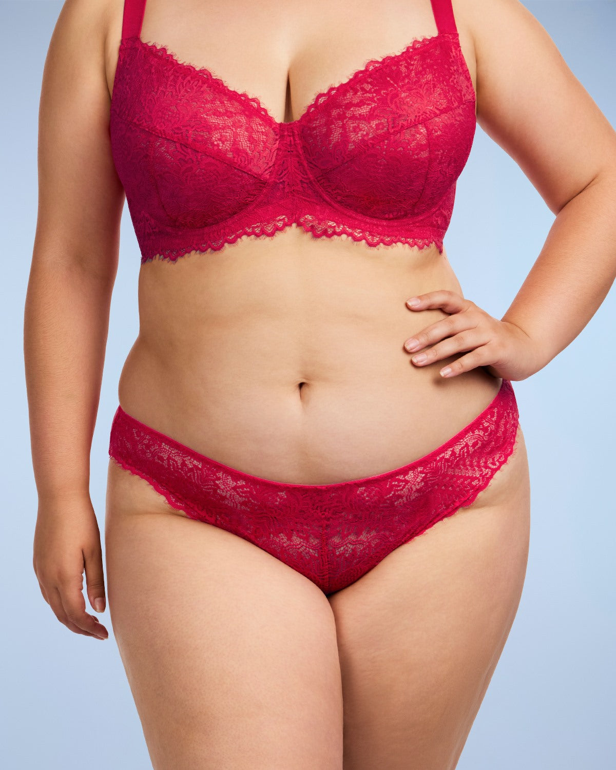 HSIA Sunflower Exquisite Raspberry Lace Bikini Underwear - HSIA