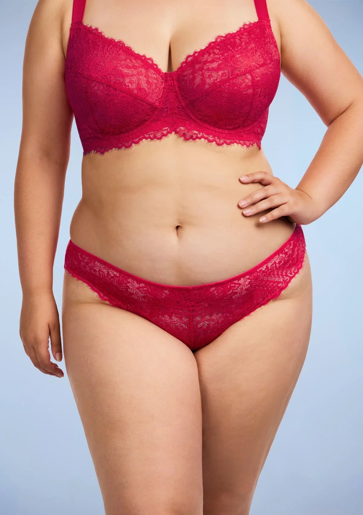 HSIA Sunflower Exquisite Raspberry Lace Bikini Underwear - HSIA