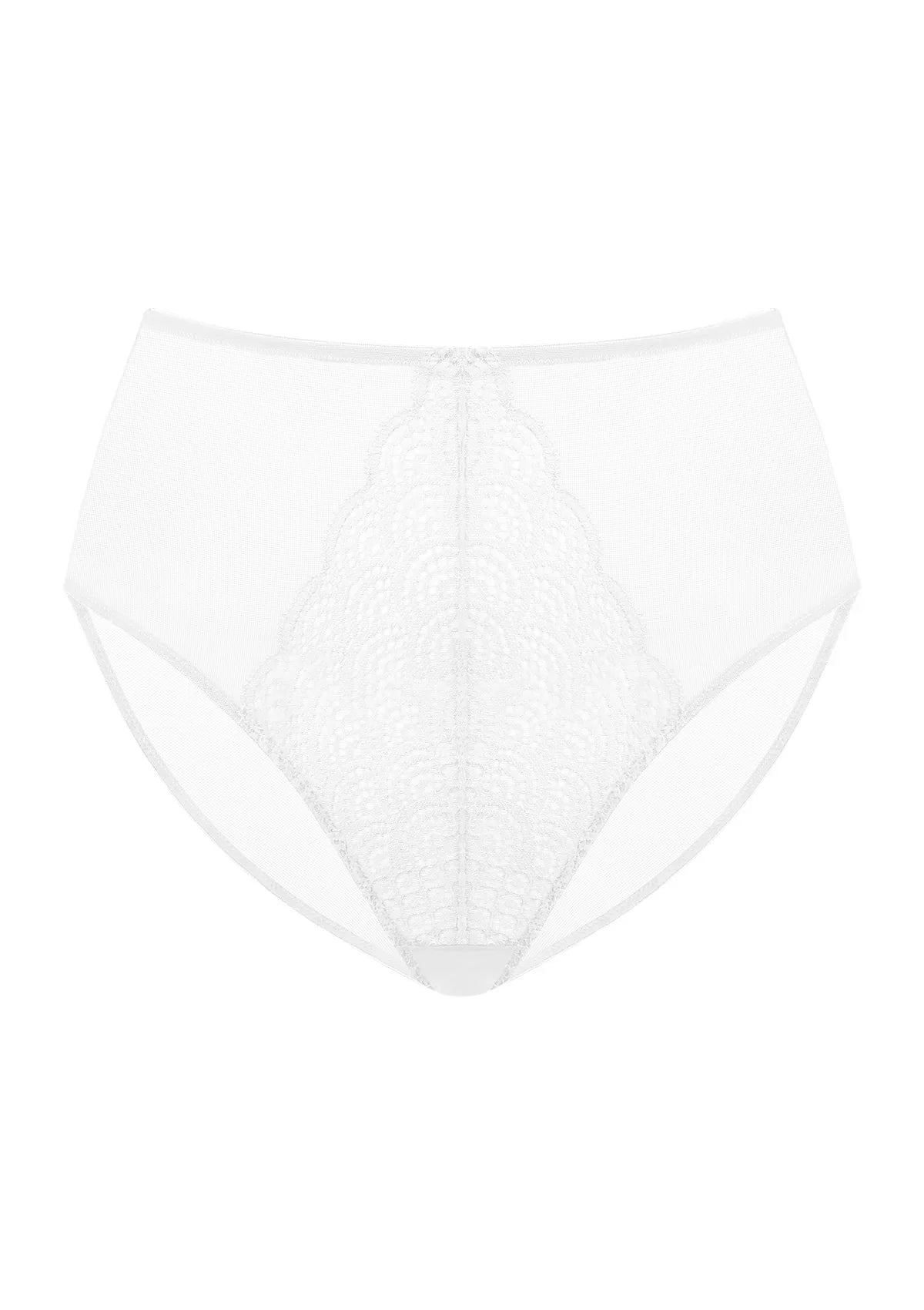 Mermaid High-Rise Lace Brief Underwear - HSIA