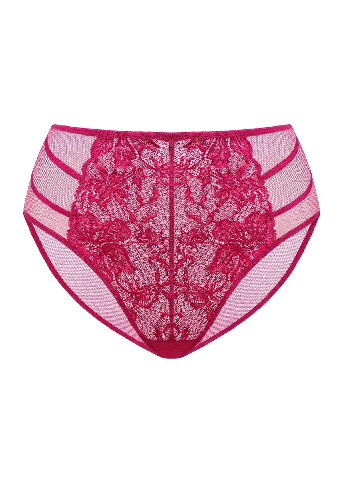 Pretty In Petals High-Rise Lace Brief Underwear - HSIA