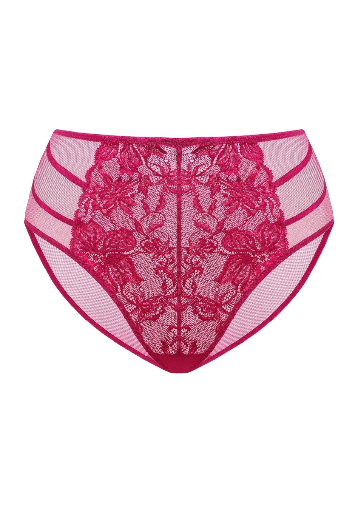 Pretty In Petals Red High-Rise Lace Brief Underwear - HSIA