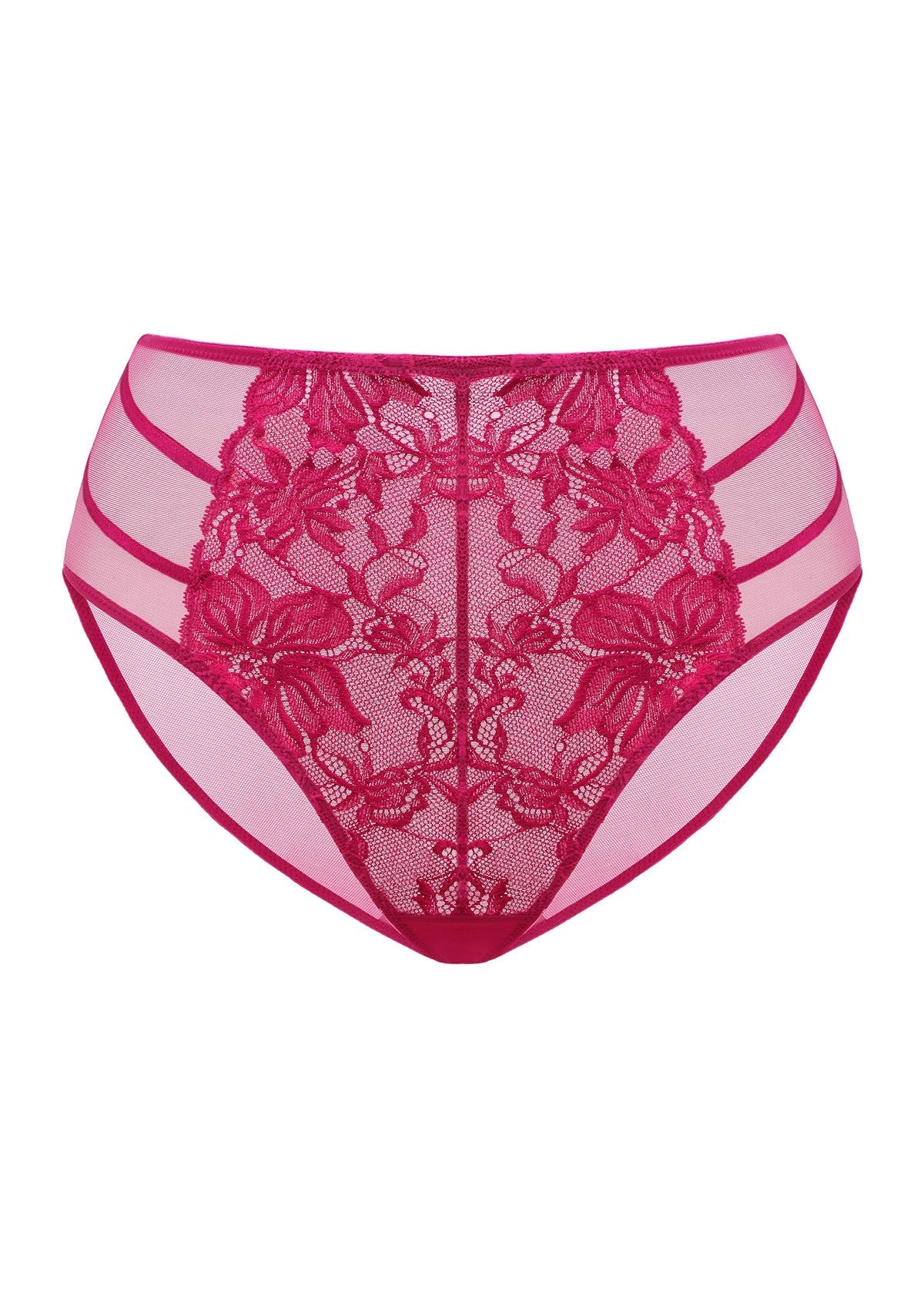 Pretty In Petals Red High-Rise Lace Brief Underwear - HSIA