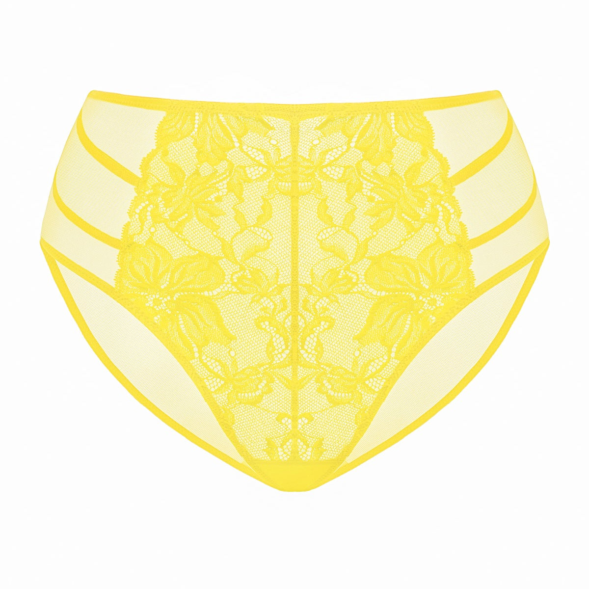 Pretty In Petals High-Rise Lace Brief Underwear - HSIA