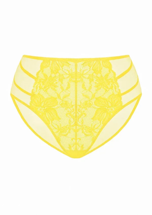 Pretty In Petals Bright Yellow Lace Bikini Underwear - HSIA