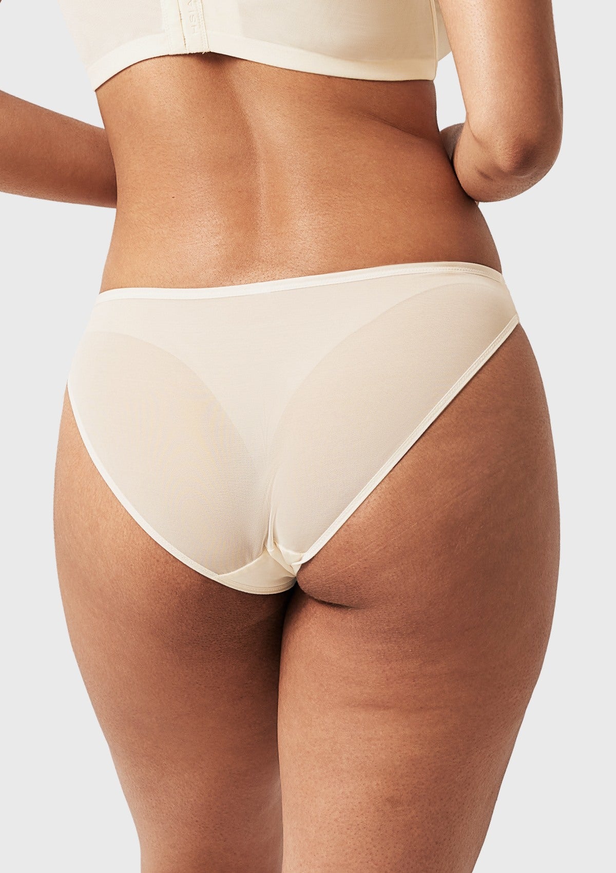 Seraphina Smooth Sheer Mesh Bikini Underwear - HSIA