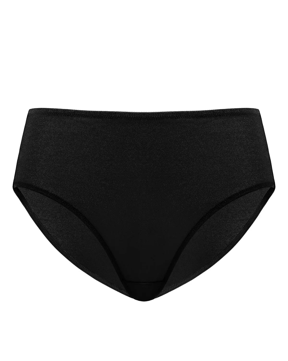 Starry Night Black Mesh High-Rise Brief Underwear - HSIA