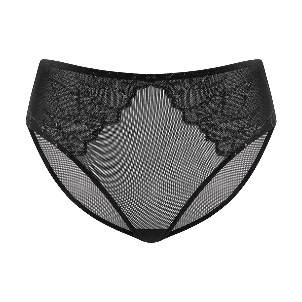 Winter Sonata Embroidered High-Rise Sheer Mesh Lace Bikini Undewear - HSIA