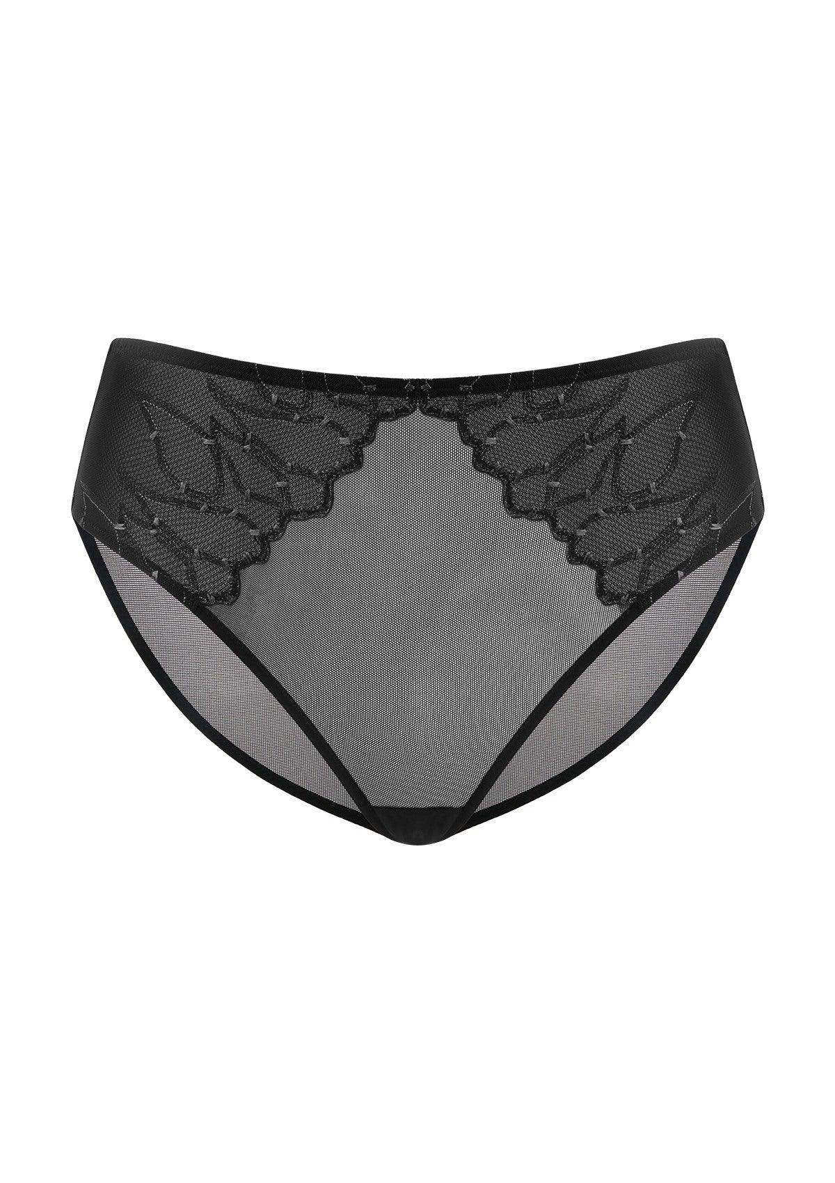 Winter Sonata Embroidered High-Rise Sheer Mesh Lace Bikini Undewear - HSIA