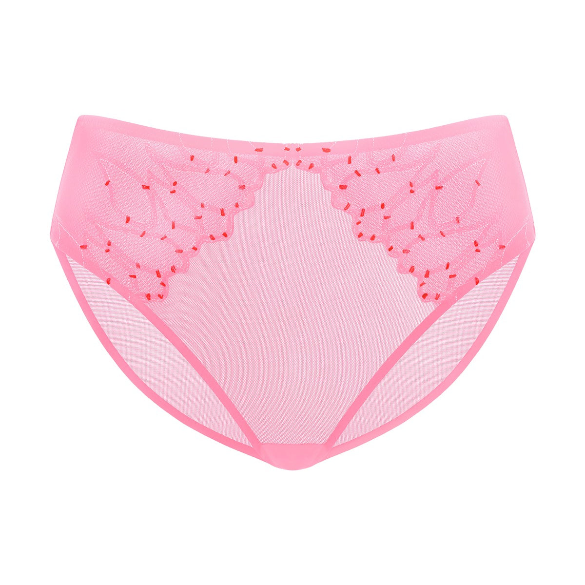 Winter Sonata Embroidered High-Rise Sheer Mesh Lace Bikini Undewear - HSIA