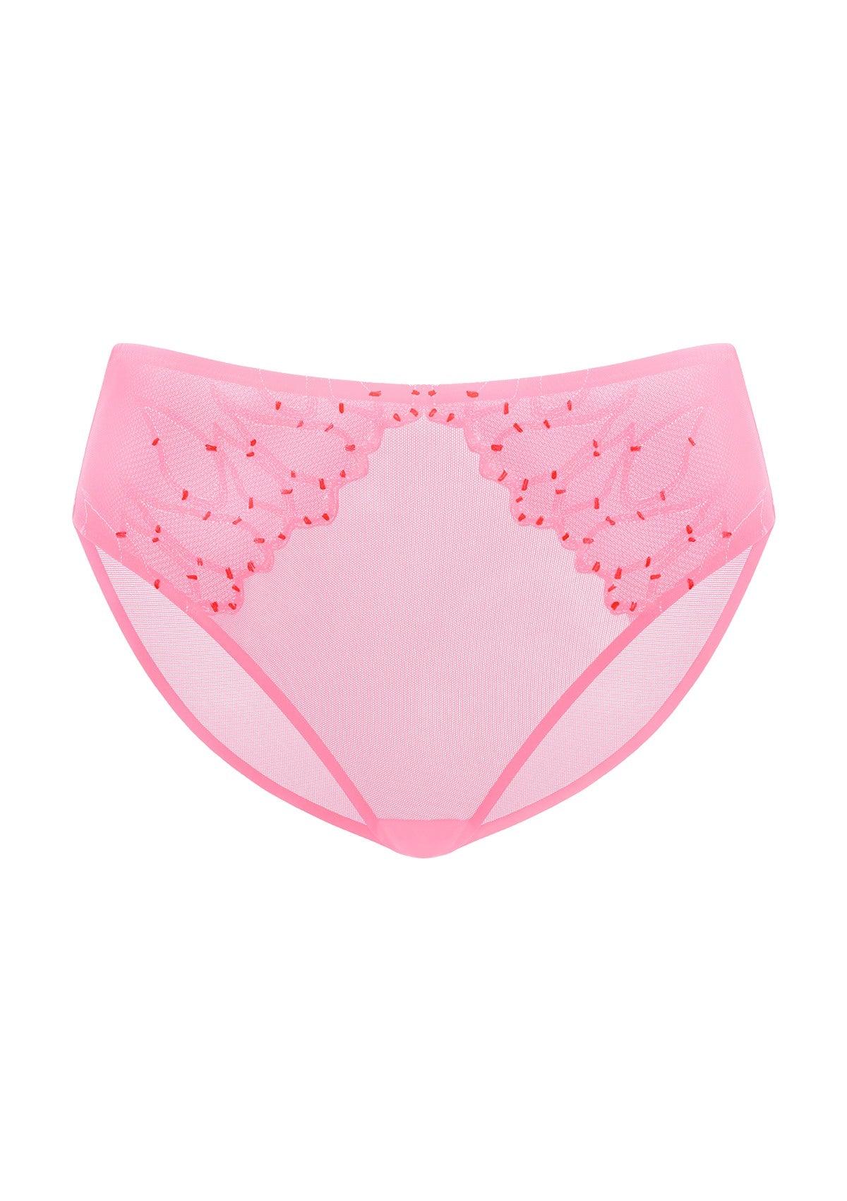 Winter Sonata Embroidered High-Rise Sheer Mesh Lace Bikini Undewear - HSIA