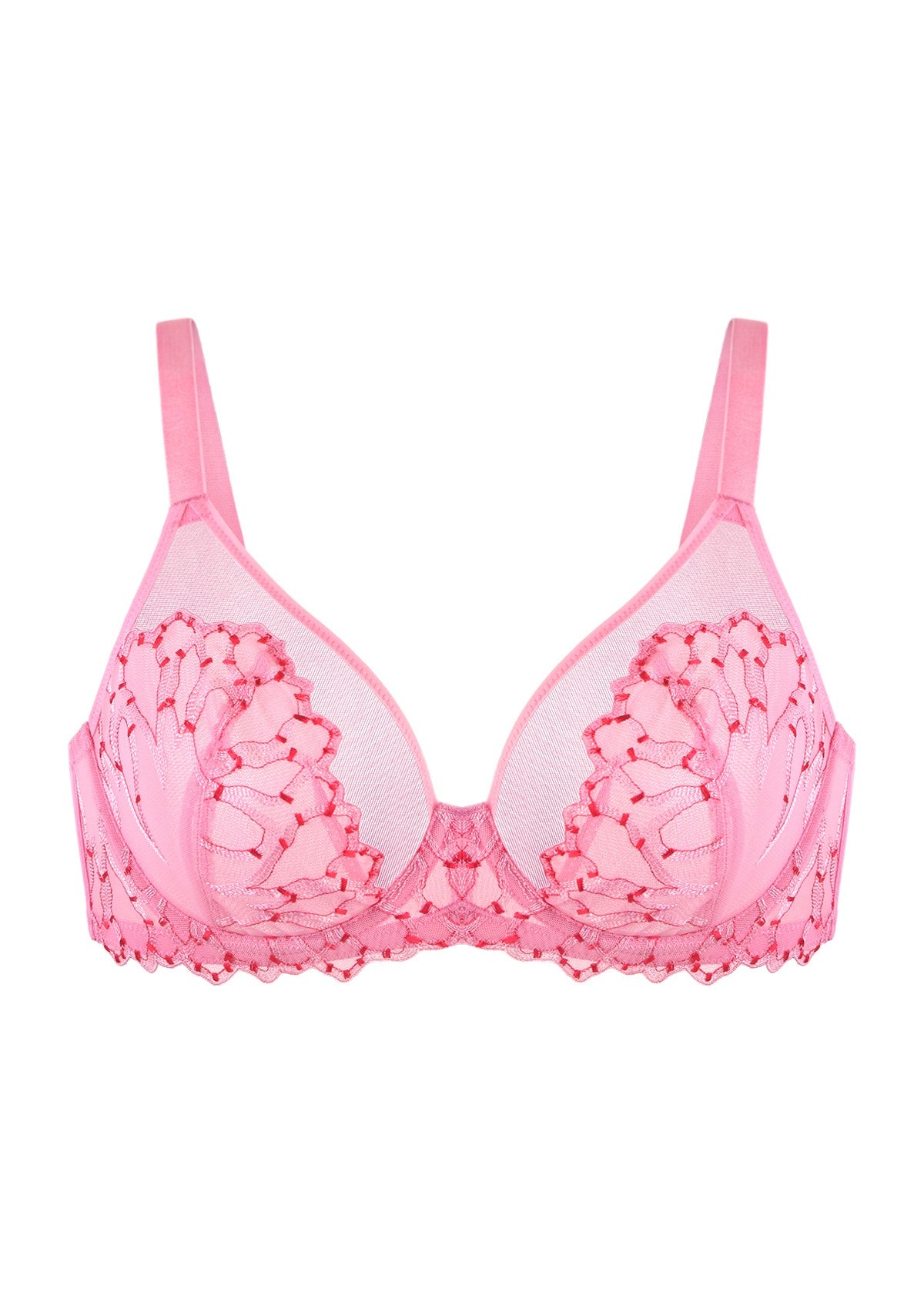 Winter Sonata Embroidered Lace Trim Full Coverage Unlined Underwire Bra - HSIA