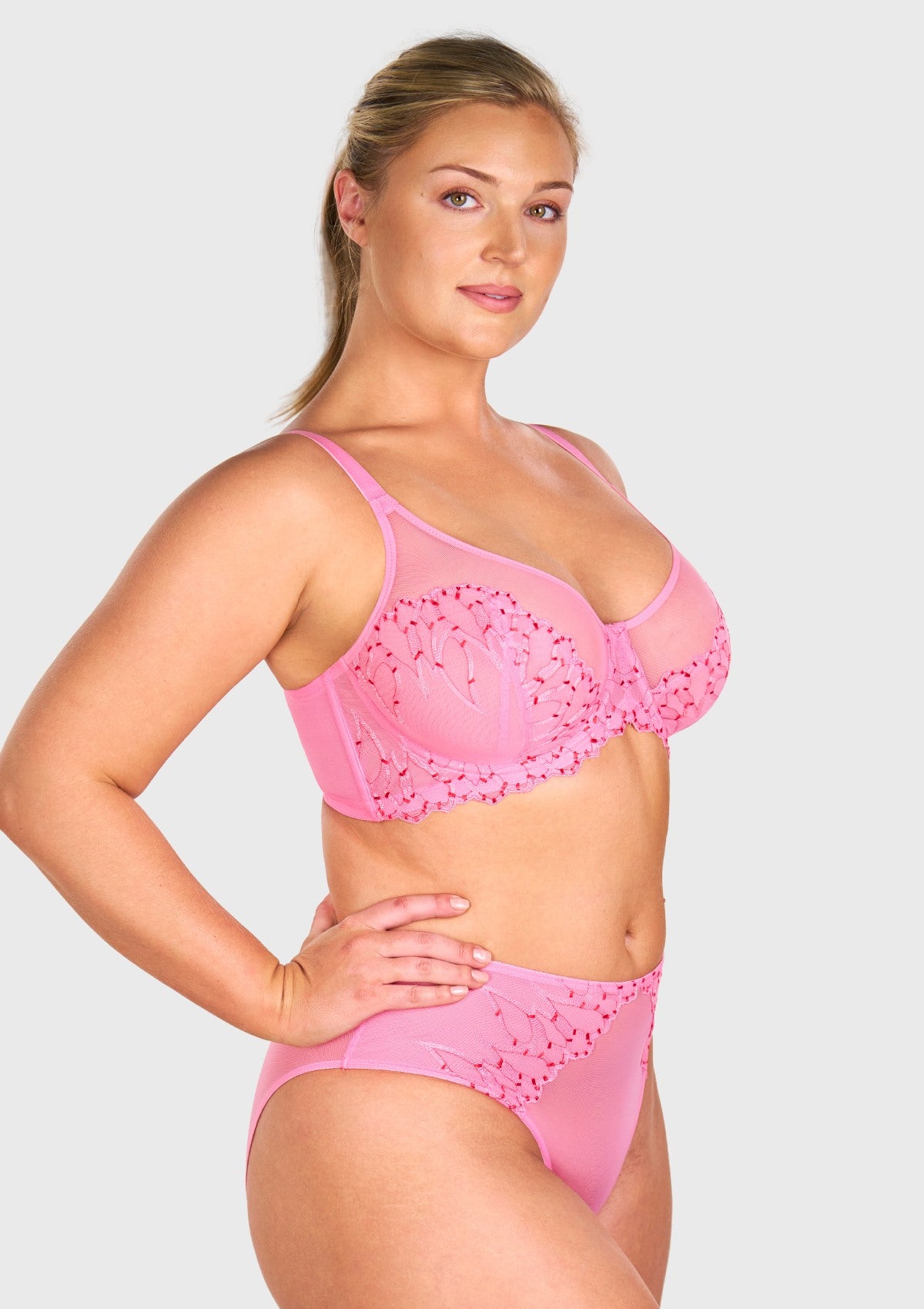 Winter Sonata Embroidered Lace Trim Full Coverage Unlined Underwire Bra - HSIA