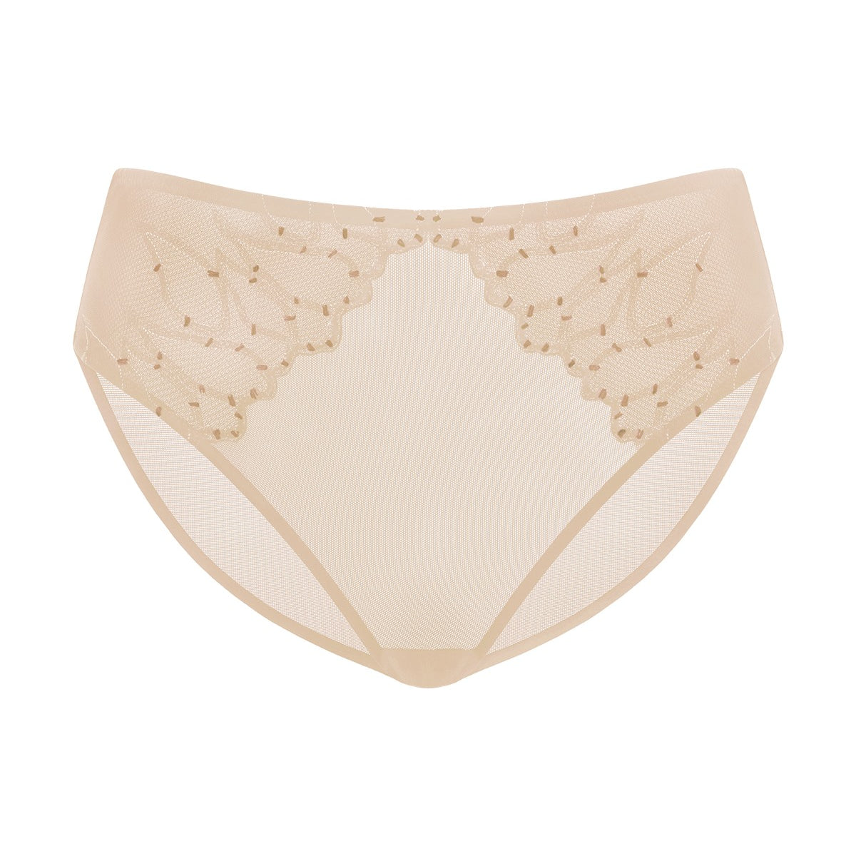 Winter Sonata Embroidered High-Rise Sheer Mesh Lace Bikini Undewear - HSIA