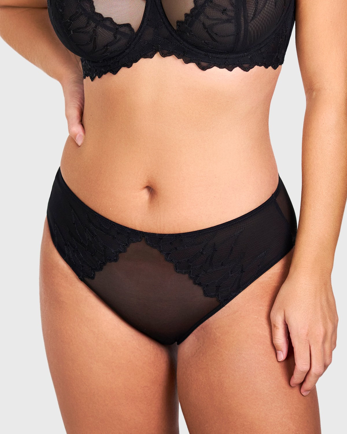 Winter Sonata Embroidered High-Rise Sheer Mesh Lace Bikini Undewear - HSIA