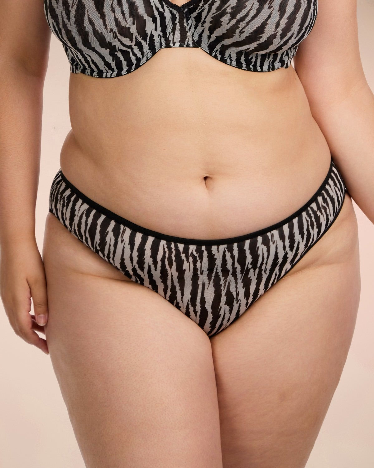 Zebra Wild Breathable Black Mesh Bikini Underwear - HSIA