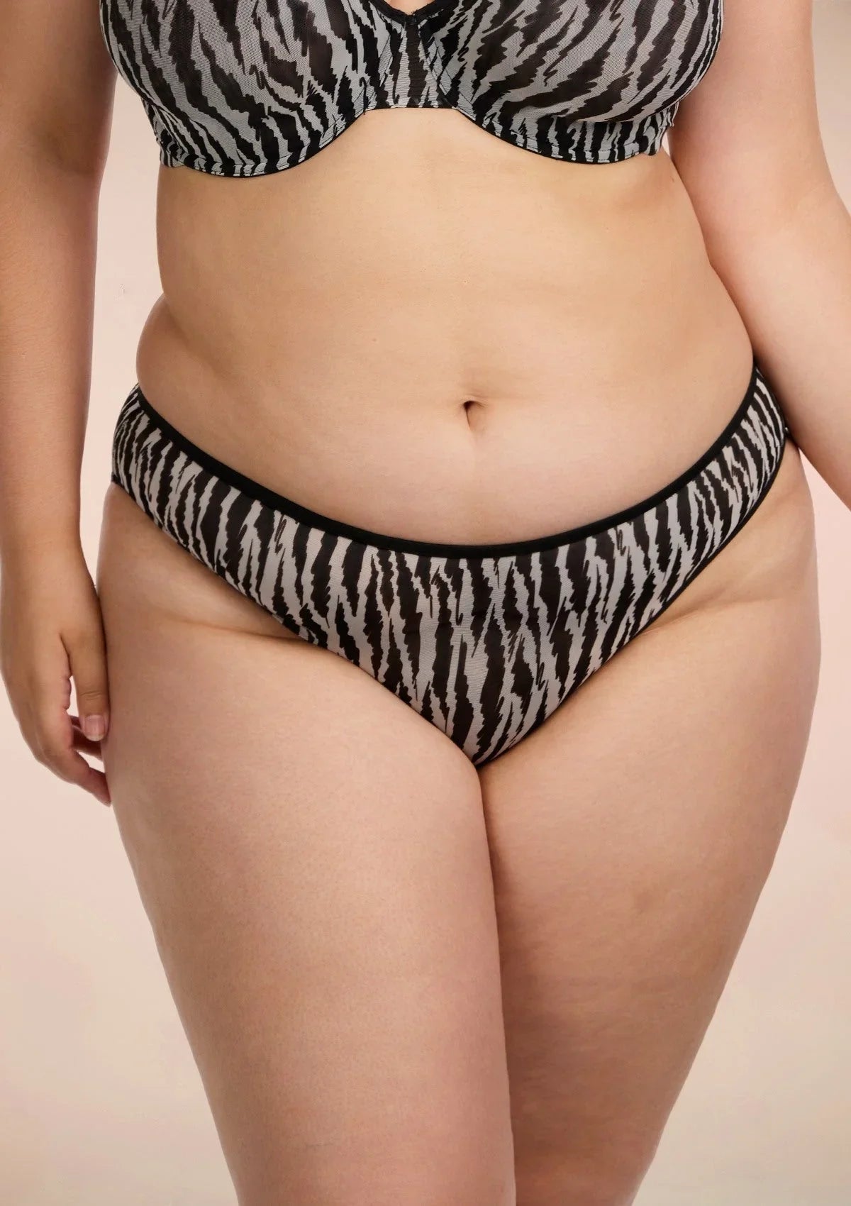 Zebra Wild Breathable Black Mesh Bikini Underwear - HSIA