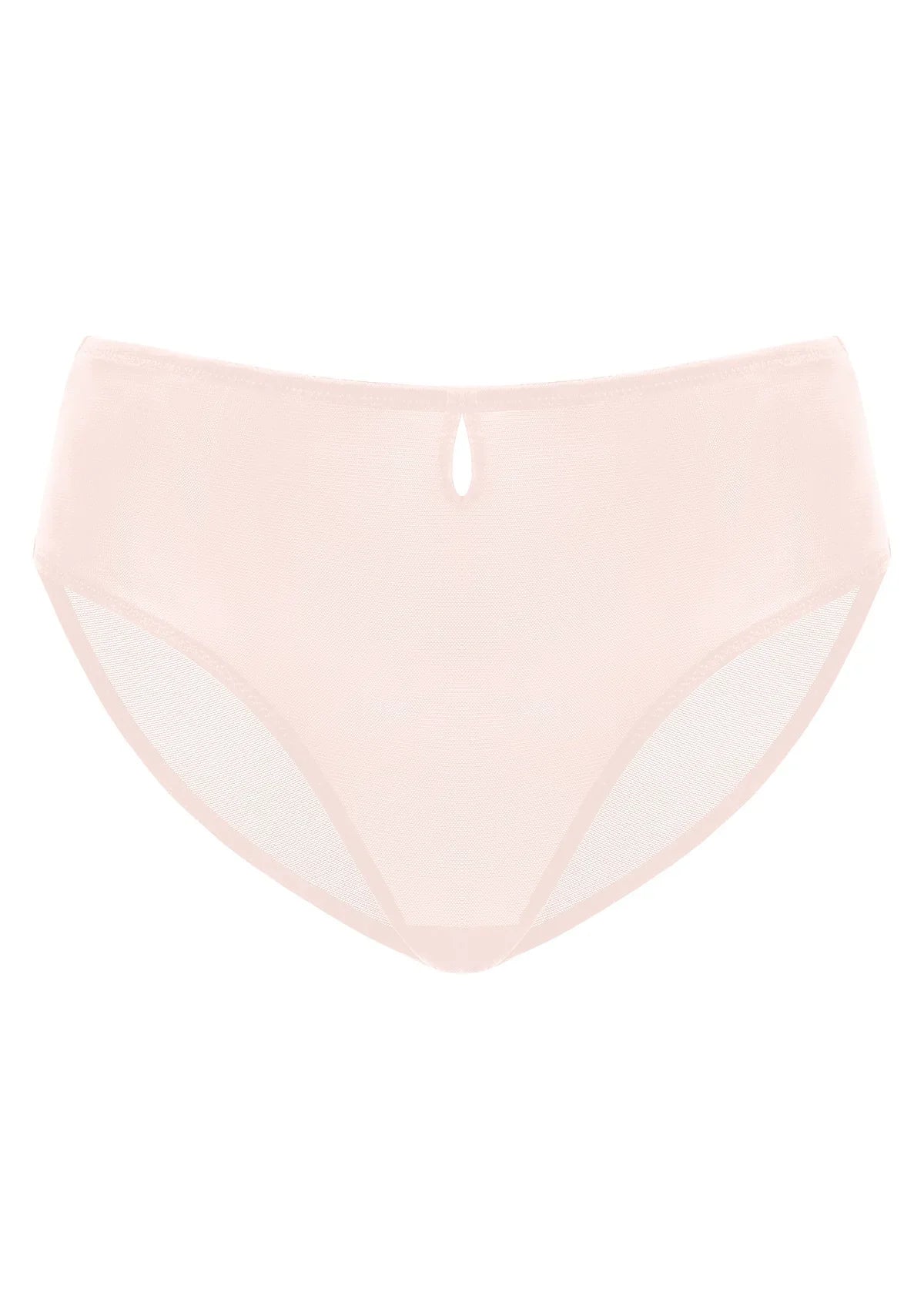 Detailed 3D product shot of Blush Bella sheer mesh bikini underwear with a breathable pure cotton crotch.
