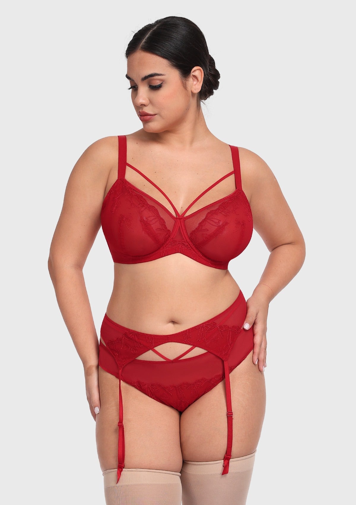 HSIA Renna Holiday Embroidered Red Mesh Brief Underwear - HSIA