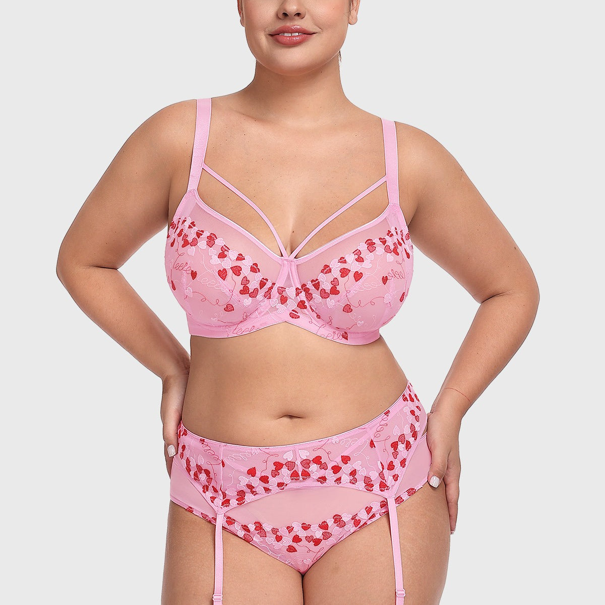 HSIA Renna Holiday Embroidered Pink Mesh Brief Underwear - HSIA