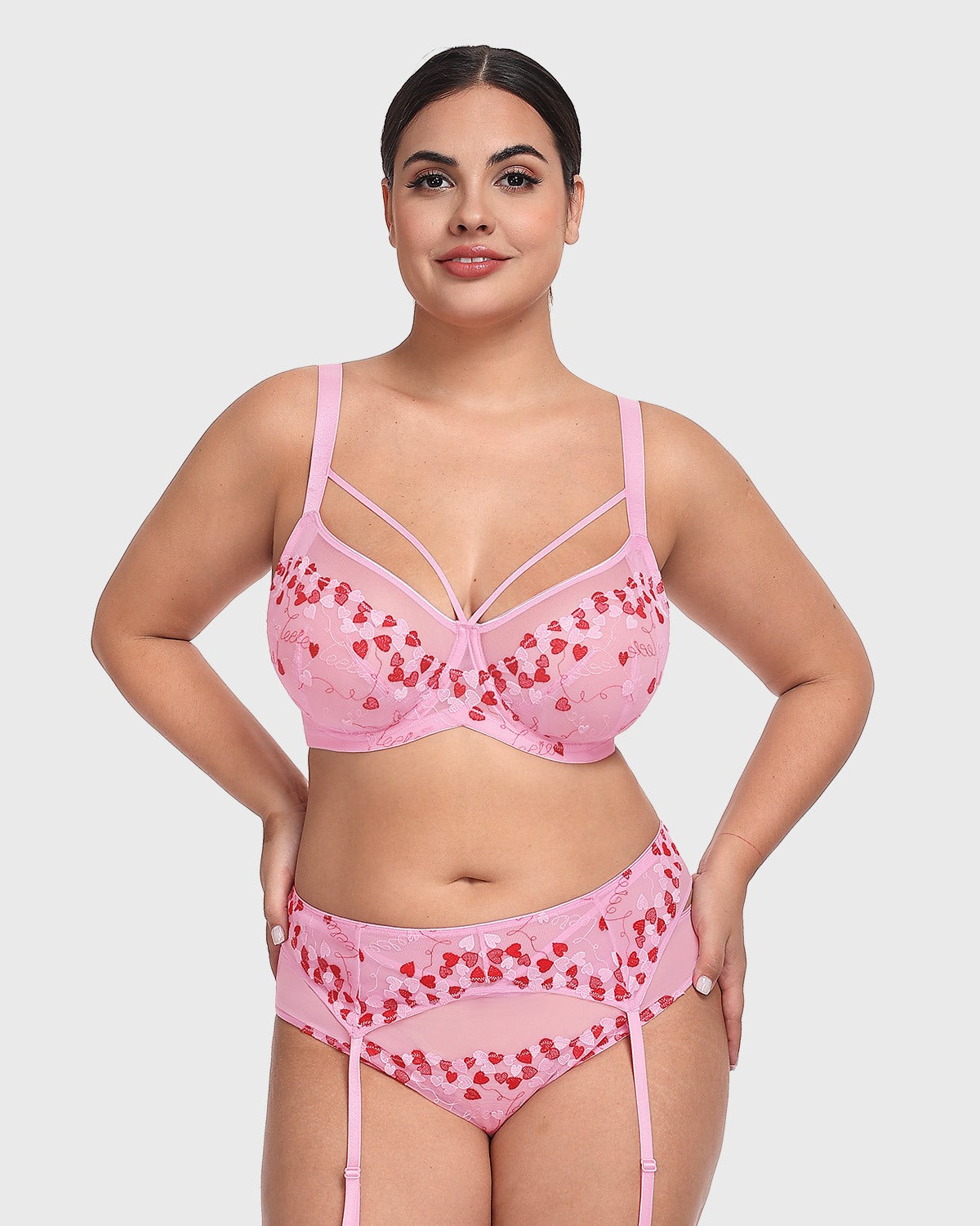 HSIA Renna Holiday Embroidered Pink Mesh Brief Underwear - HSIA