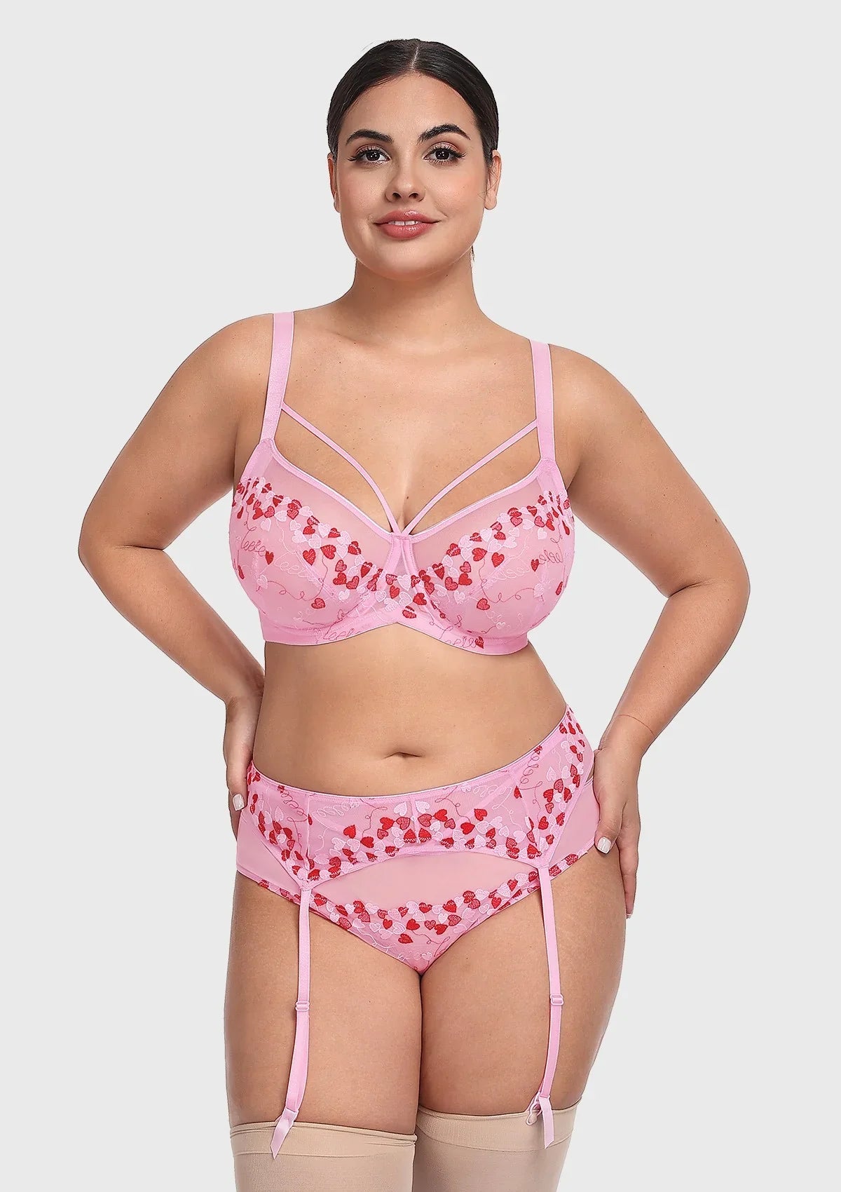 HSIA Renna Holiday Embroidered Pink Mesh Brief Underwear - HSIA