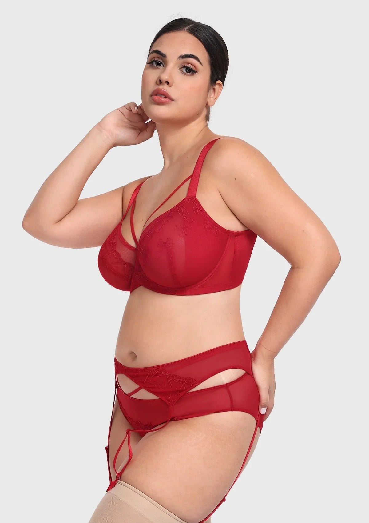 HSIA Renna Holiday Embroidered Red Mesh Thong Underwear - HSIA