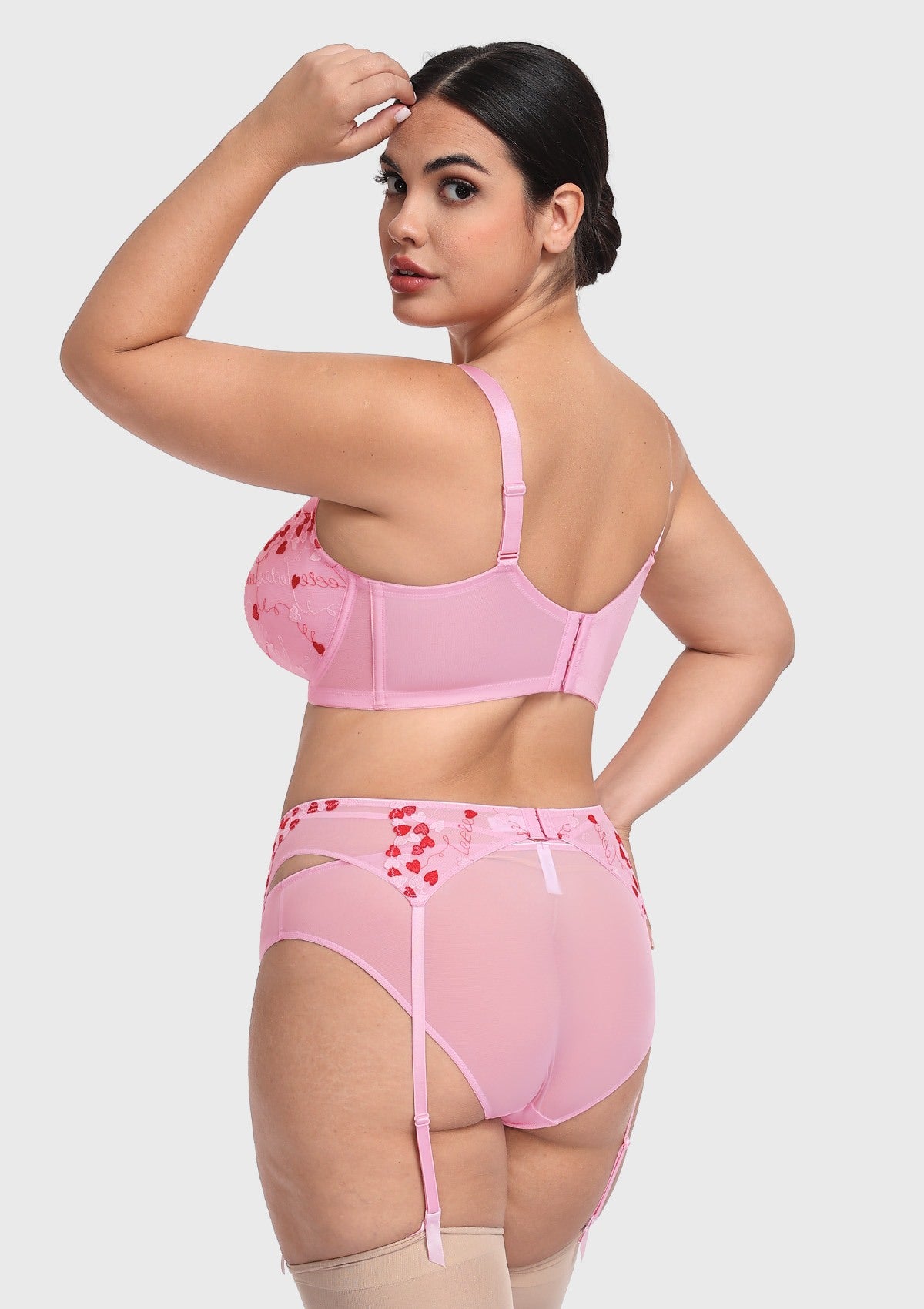 HSIA Renna Holiday Embroidered Pink Mesh Brief Underwear - HSIA
