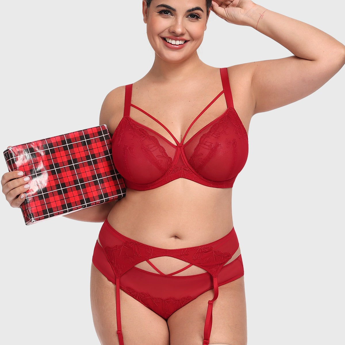 HSIA Renna Holiday Embroidered Red Mesh Brief Underwear - HSIA