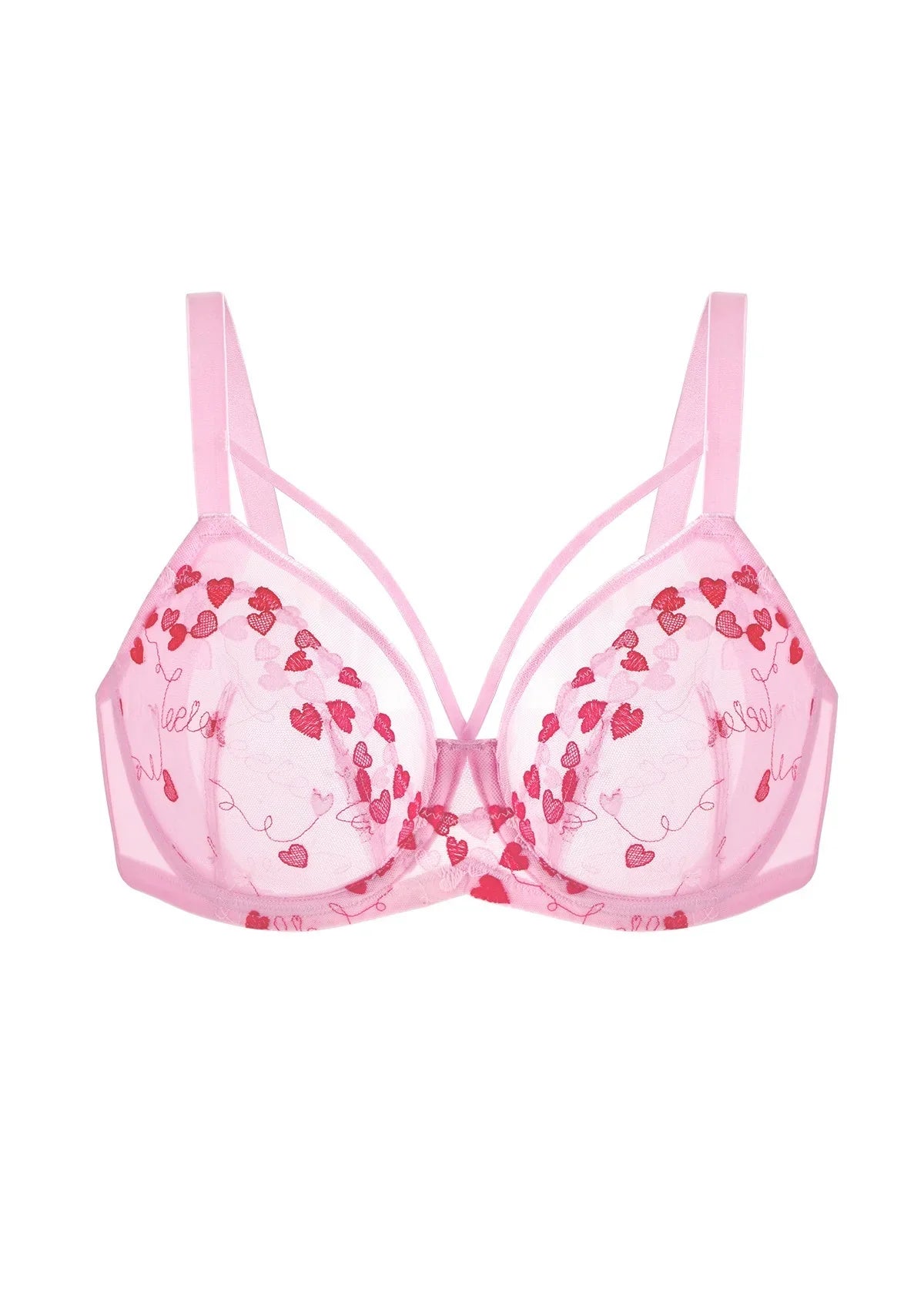 HSIA Renna Holiday Edit Embroidery Pink Lace Underwire Bra - HSIA