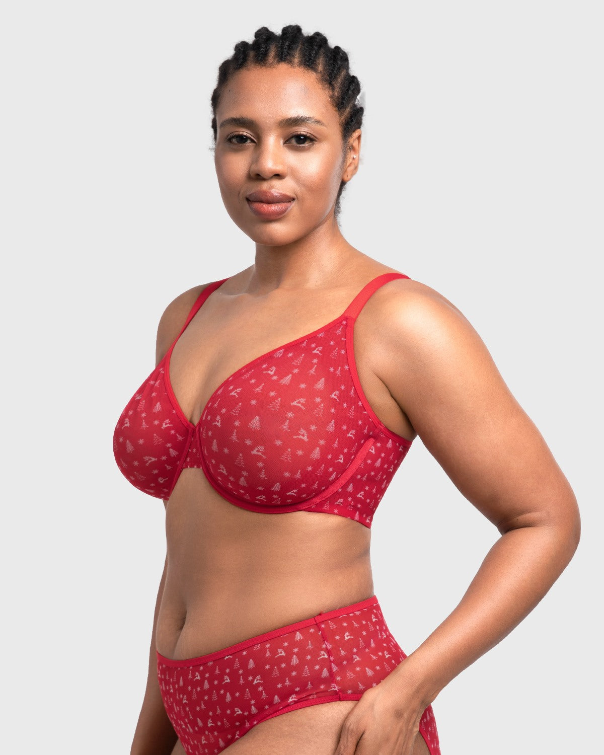 HSIA Christmas Holiday Edit Unlined Plus Size Non-padded Underwire Adjustable Straps Full Coverage Bra - HSIA