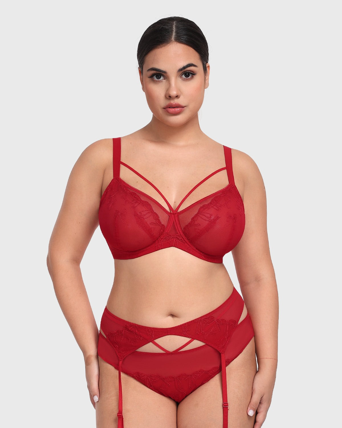 HSIA Renna Holiday Embroidered Red Mesh Brief Underwear - HSIA