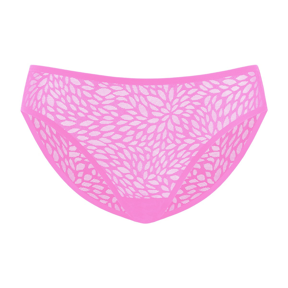 HSIA Vine Sexy Lace Mesh Brief Underwear - HSIA